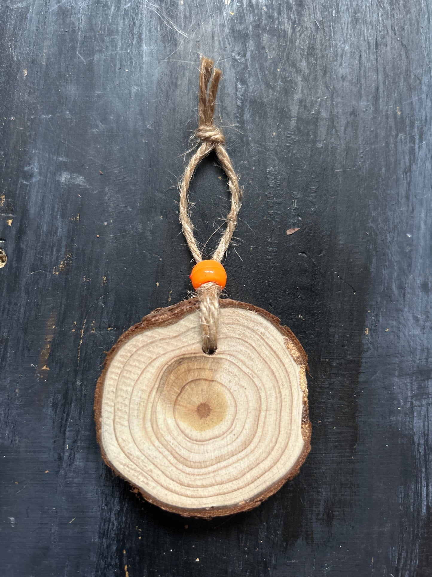 Small Hand Painted Wood Slice