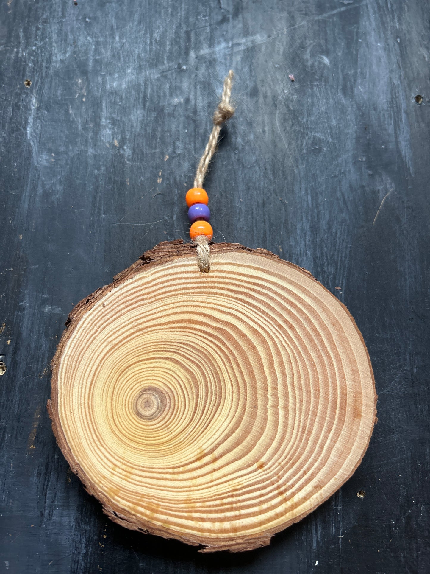 Large Hand Painted Wood Slice