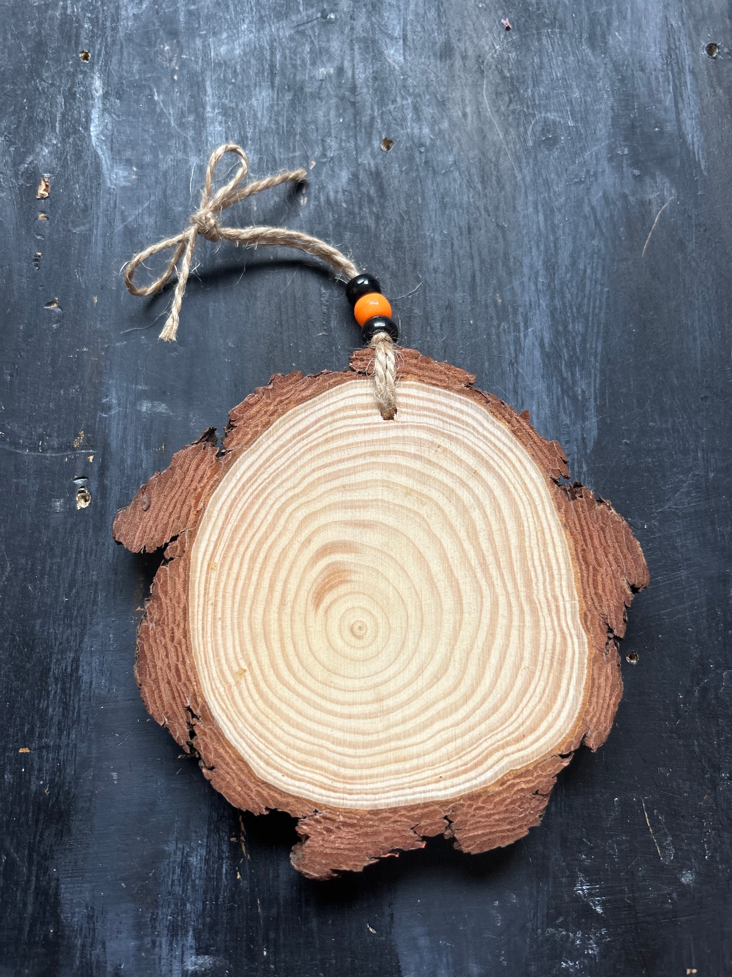 Large Hand Painted Wood Slice