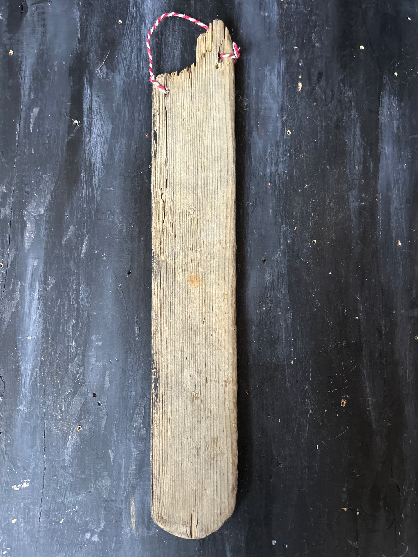 Hand Painted Driftwood Plaque - Shark