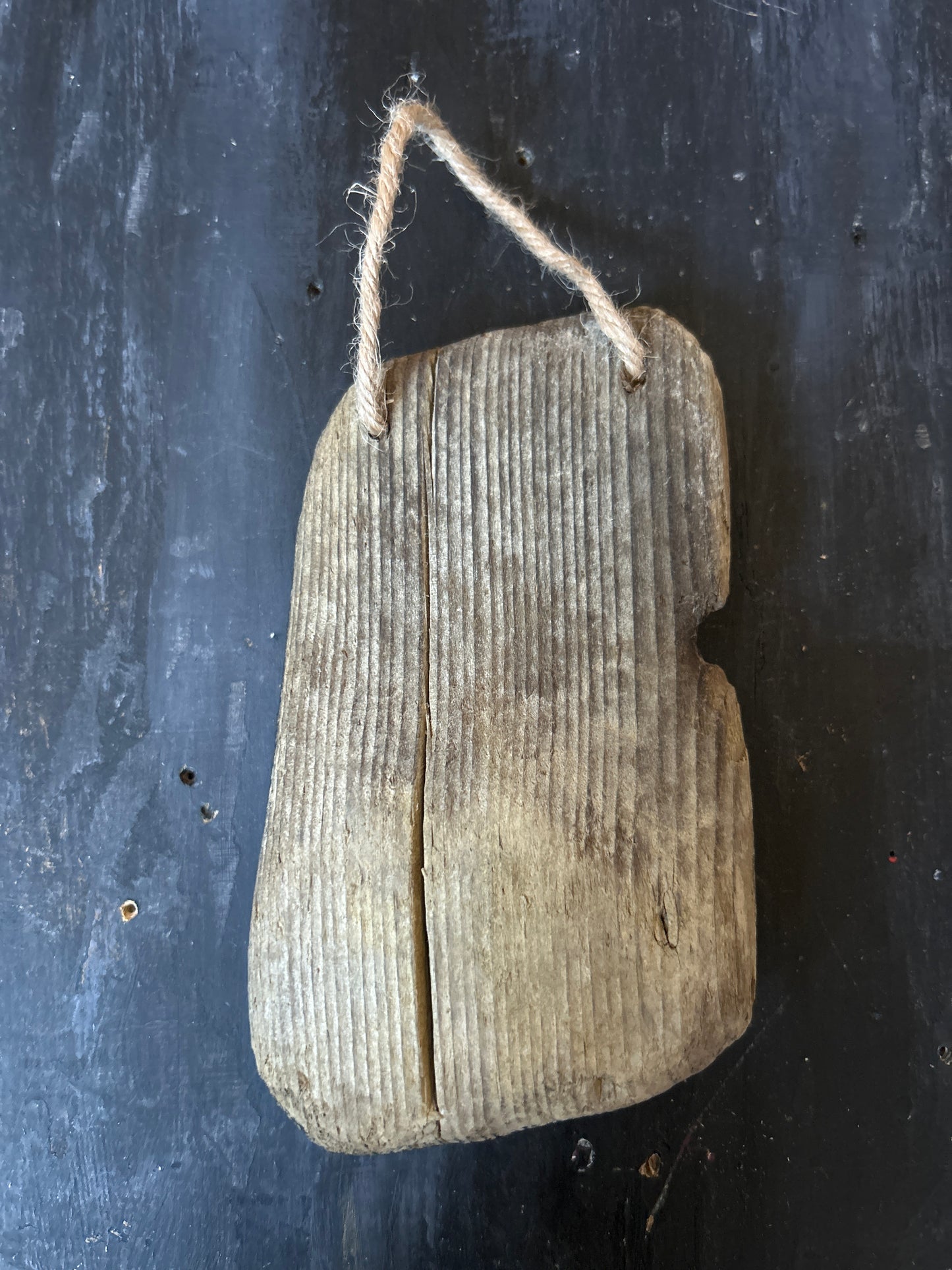 Hand Painted Driftwood Plaque - Bat