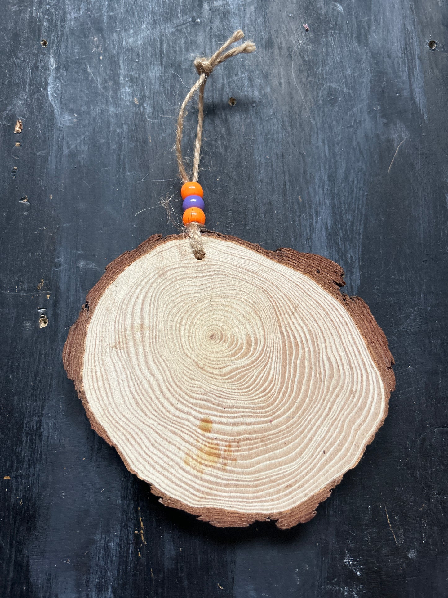 Large Hand Painted Wood Slice