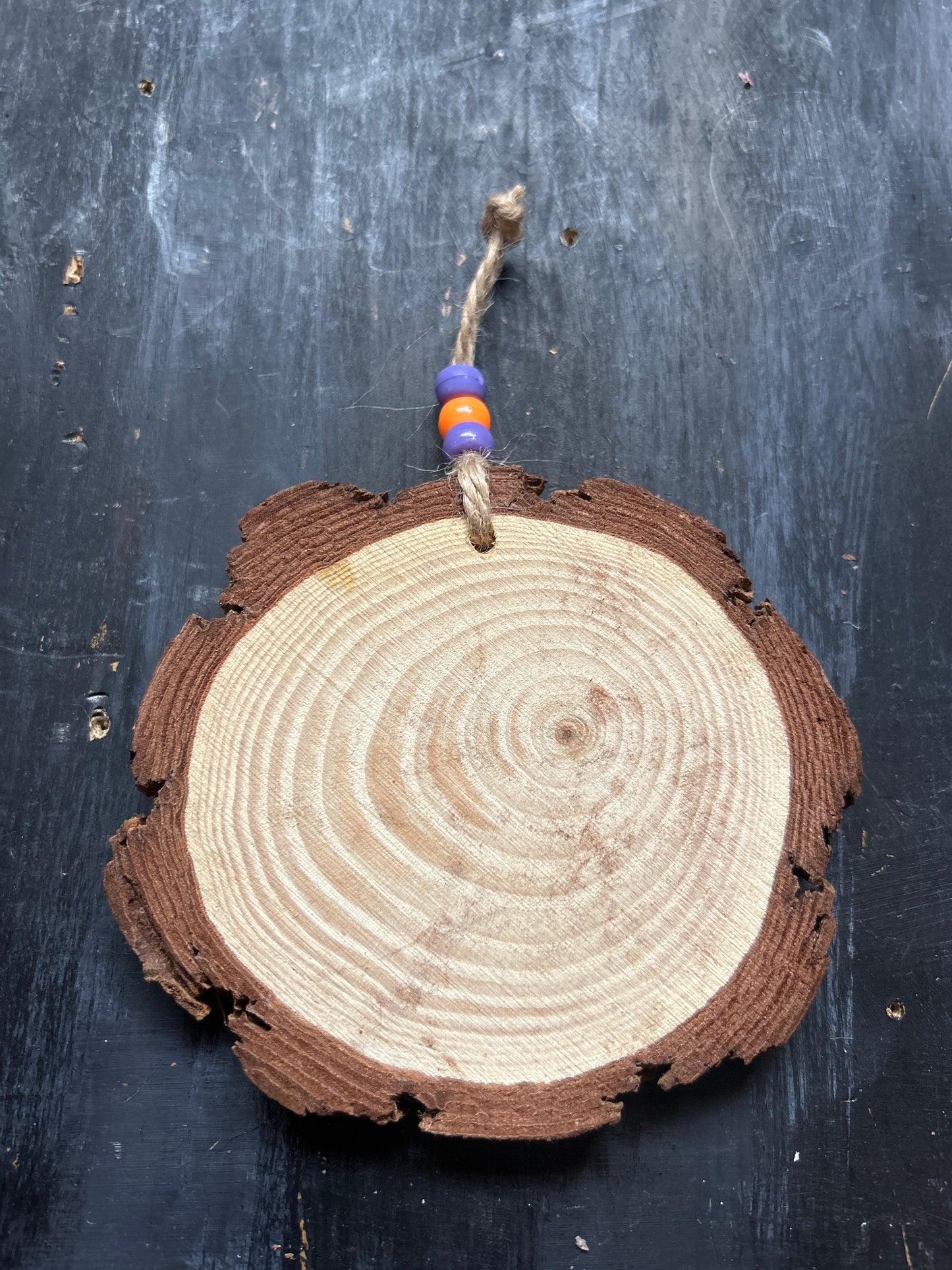Large Hand Painted Wood Slice