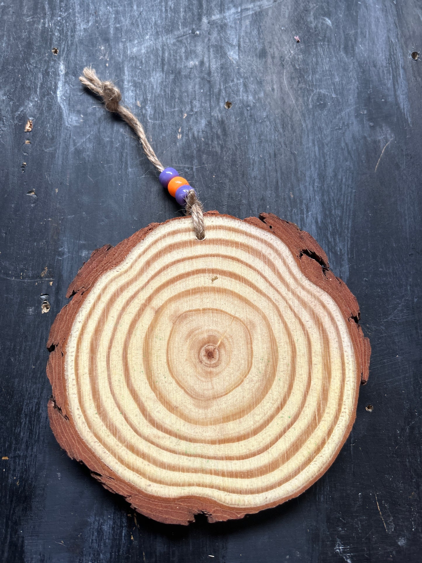Large Hand Painted Wood Slice
