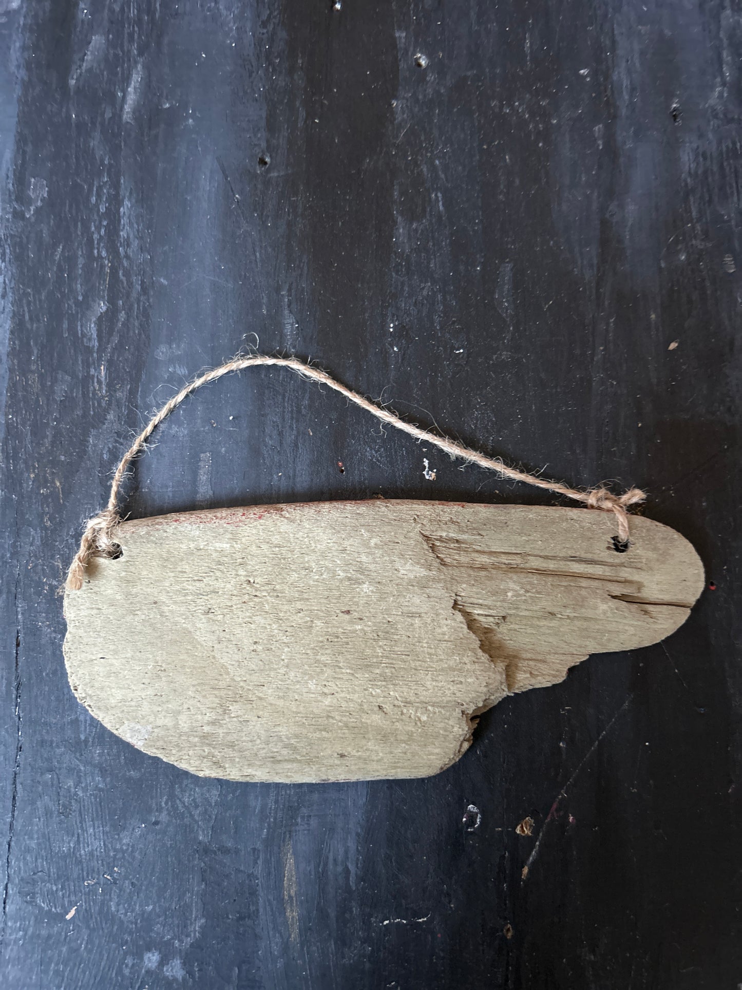 Hand Painted Driftwood Plaque - Octopus