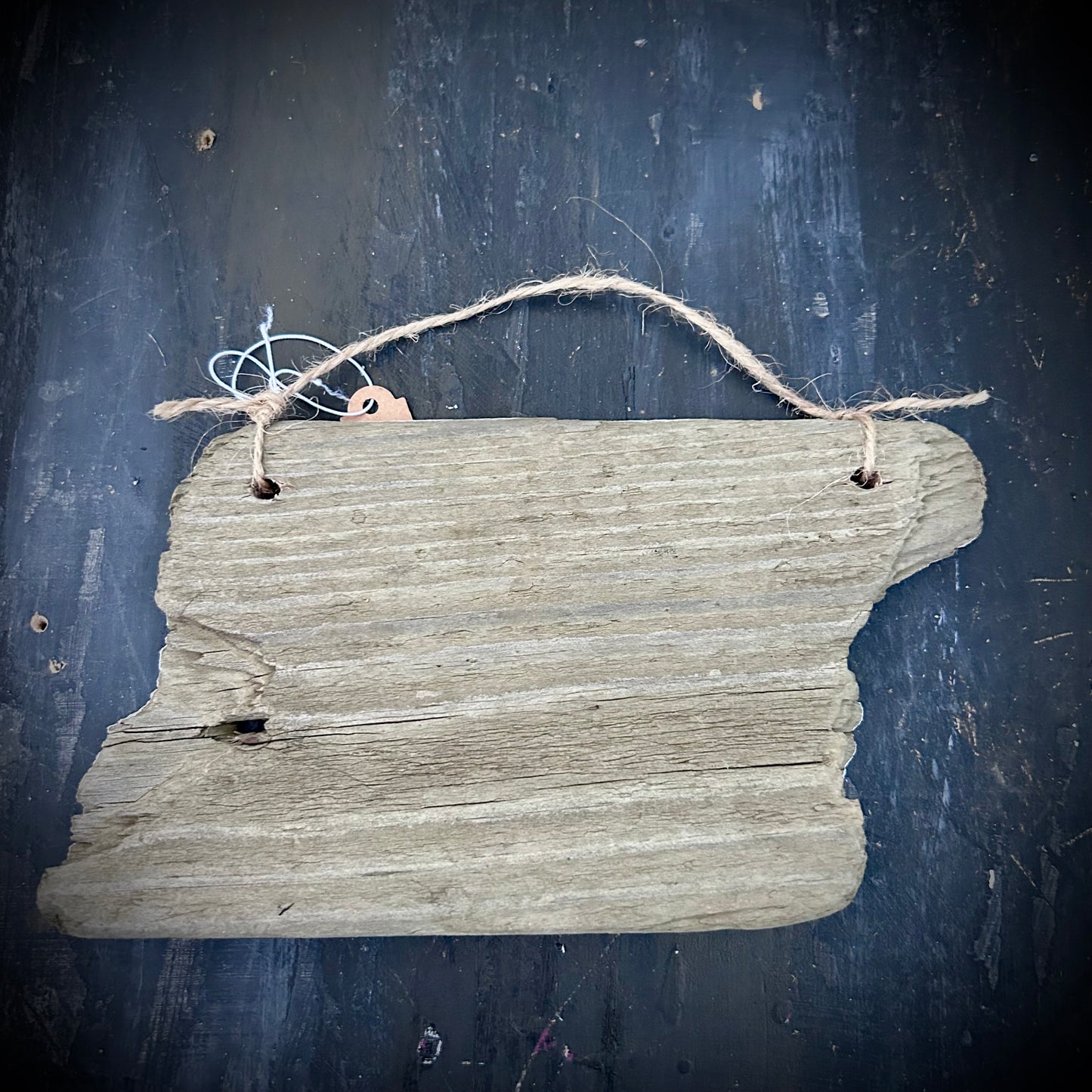 Hand Painted Driftwood Plaque - Swallow