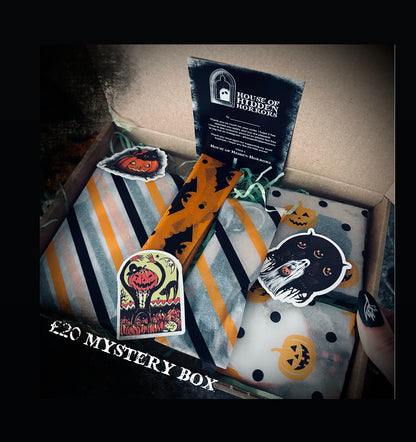 £20 Mystery Box
