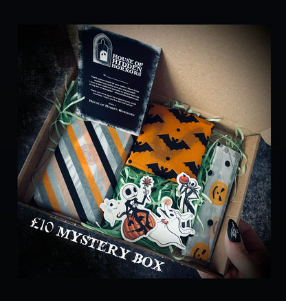 £10 Mystery Box