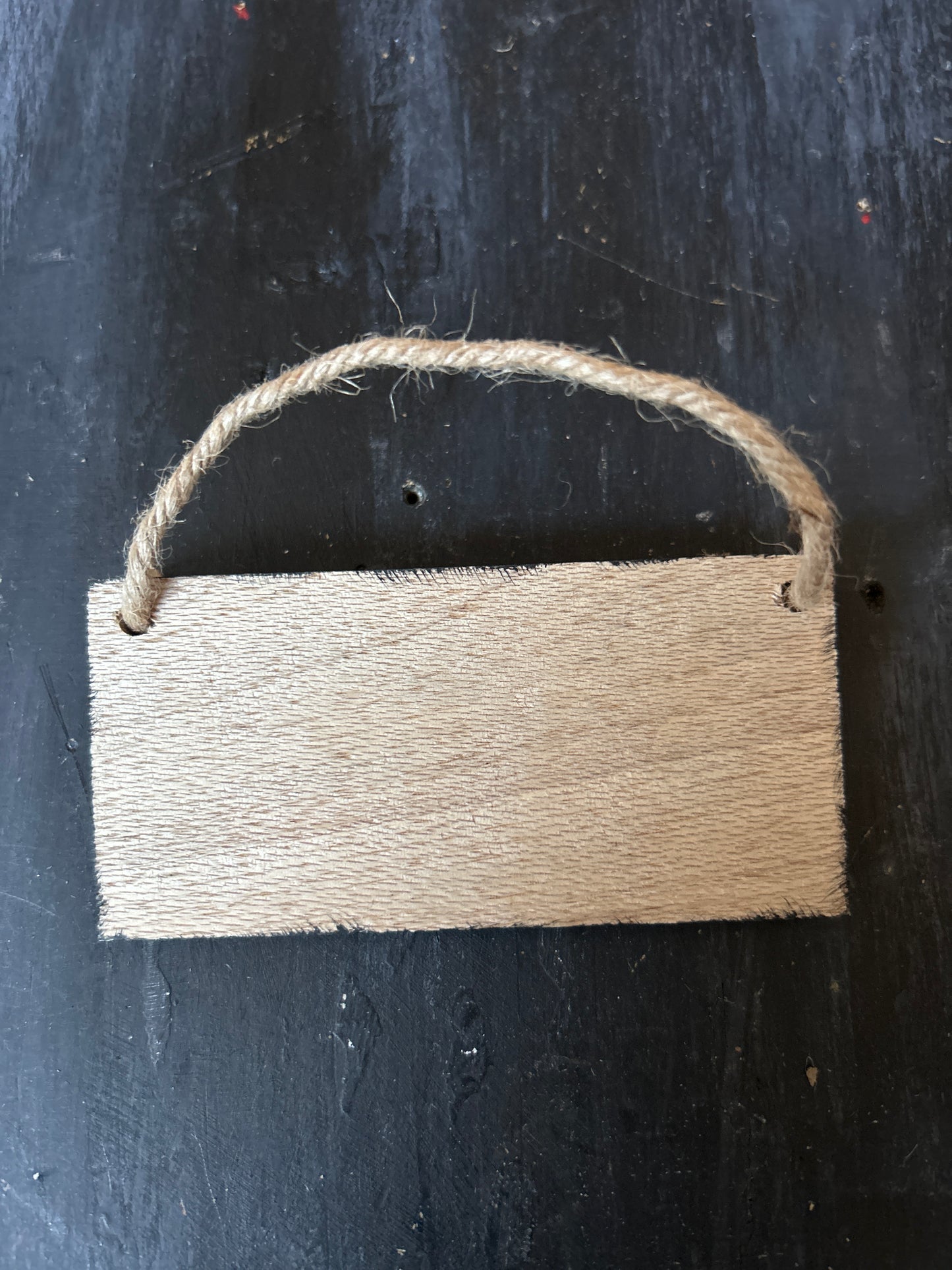 Mini Hand Painted Plaque - Bat